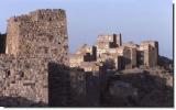 Clicca per Ingrandire
